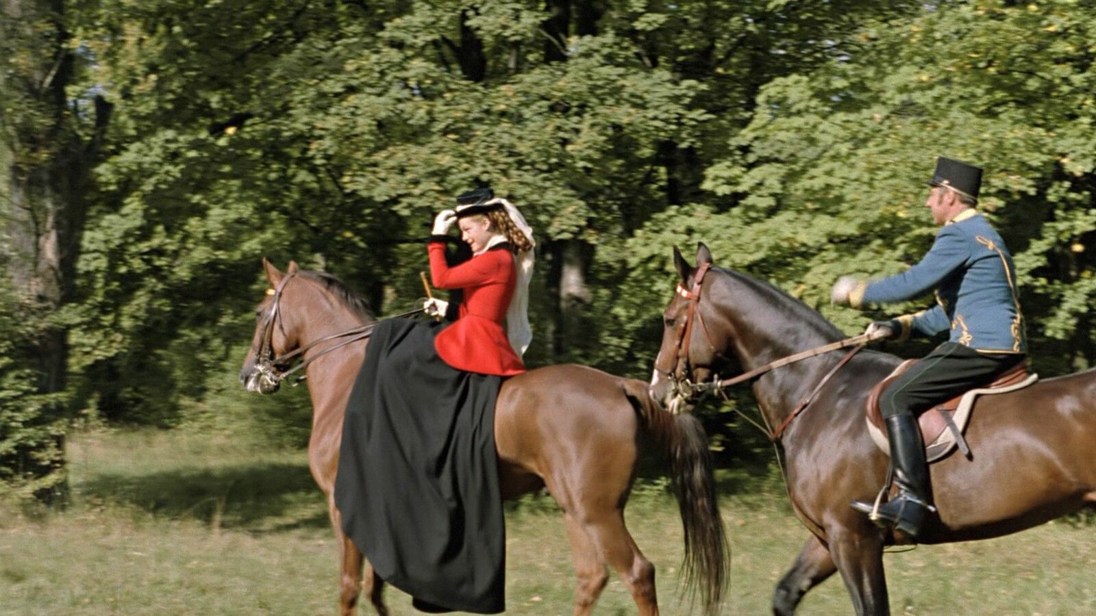 Le cheval de Sissi l’impératrice d’Autriche