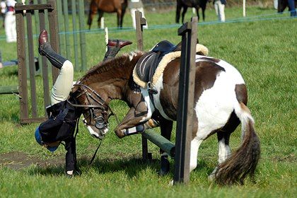 Les bases de la sécurité autour du cheval