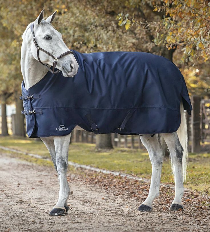 Le cheval et les saisons