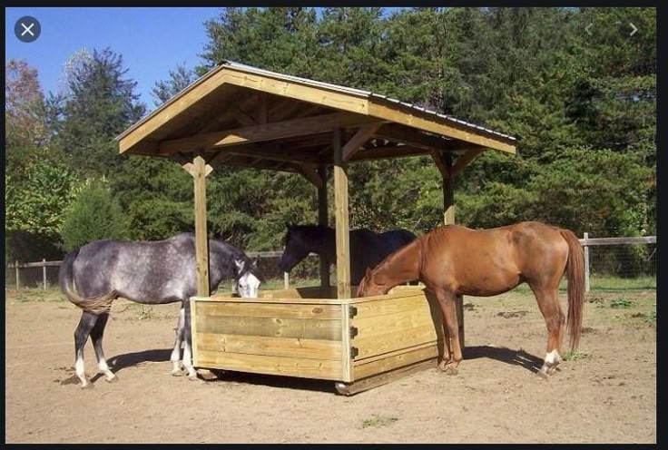 Le logement et l’environnement du cheval
