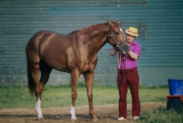 La relation homme-cheval