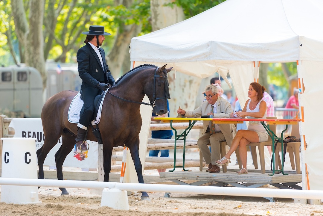 Carrousel