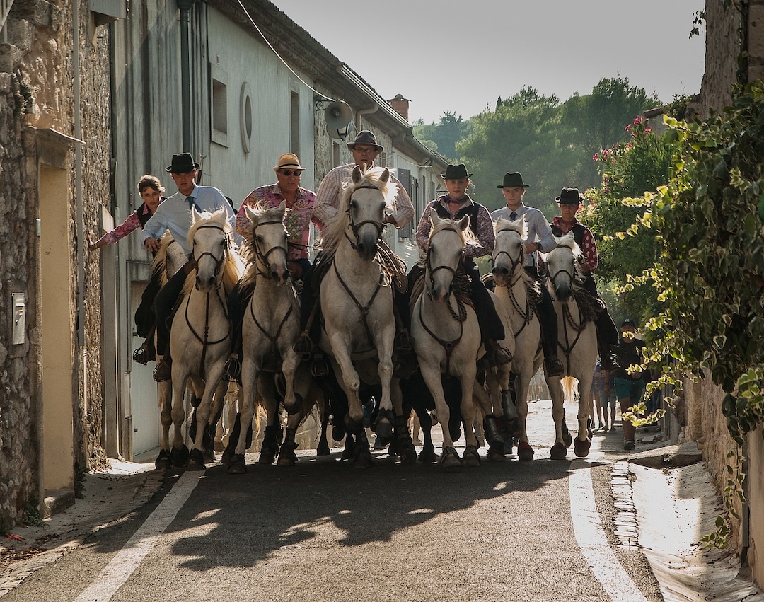 L'Equitation Camarguaise