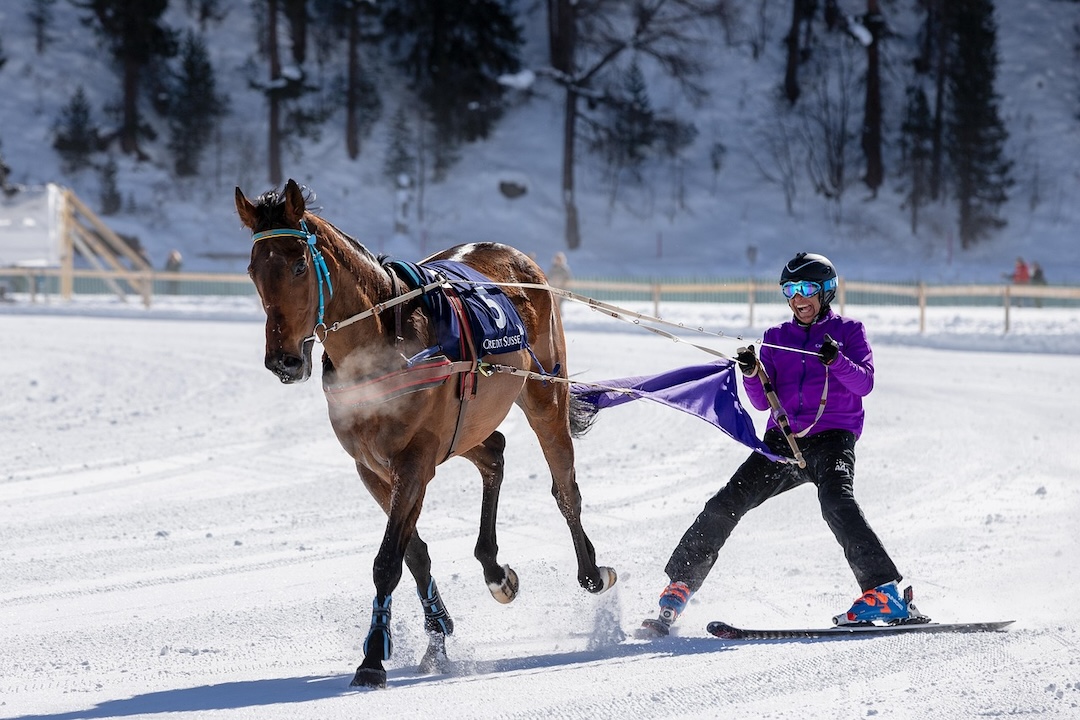 Ski-Joëring