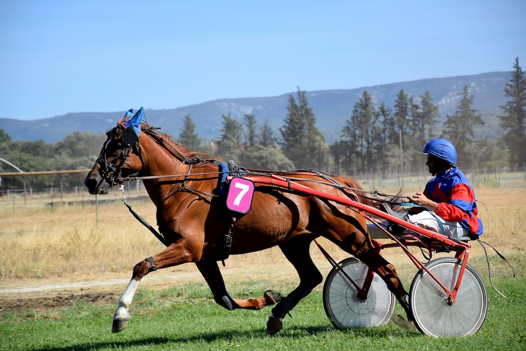 Courses de Trot