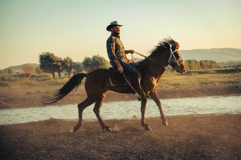 Poney rustique canadien