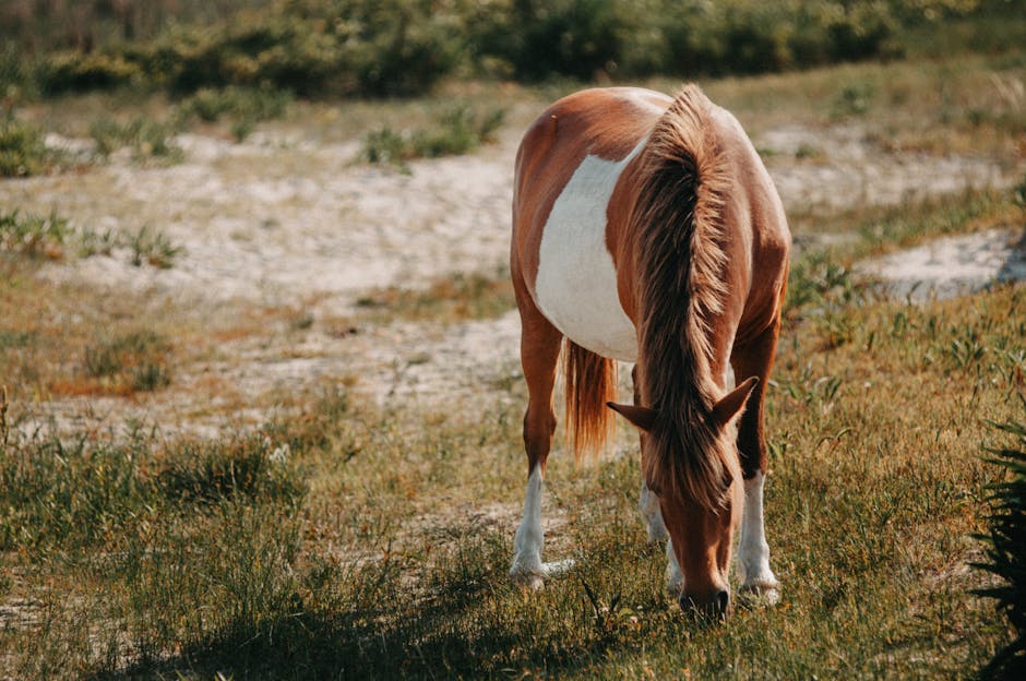 Tennessee Walker