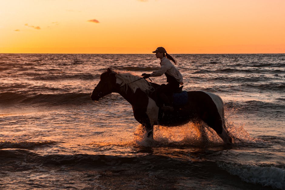 Cheval du Delta